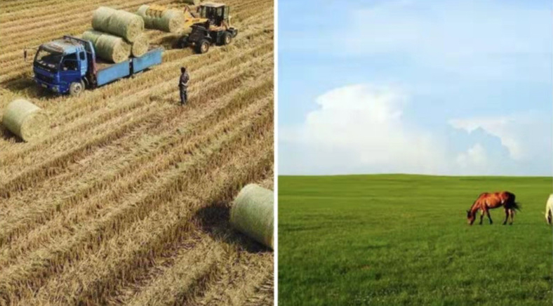 Zein da Bale Net Wrap erabiltzearen abantaila?