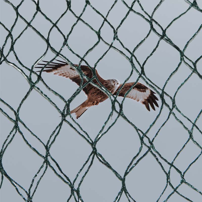 Zeintzuk dira hegaztiak prebenitzeko sareen material aukerak eta abantailak eta desabantailak?