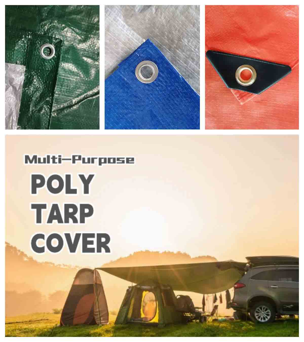 Zein da PE lona eta PVC lona arteko aldea?