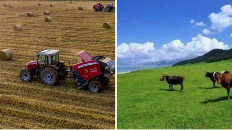 Nekazaritza-jardueretan fardo-sareen bilgarriaren aplikazioa