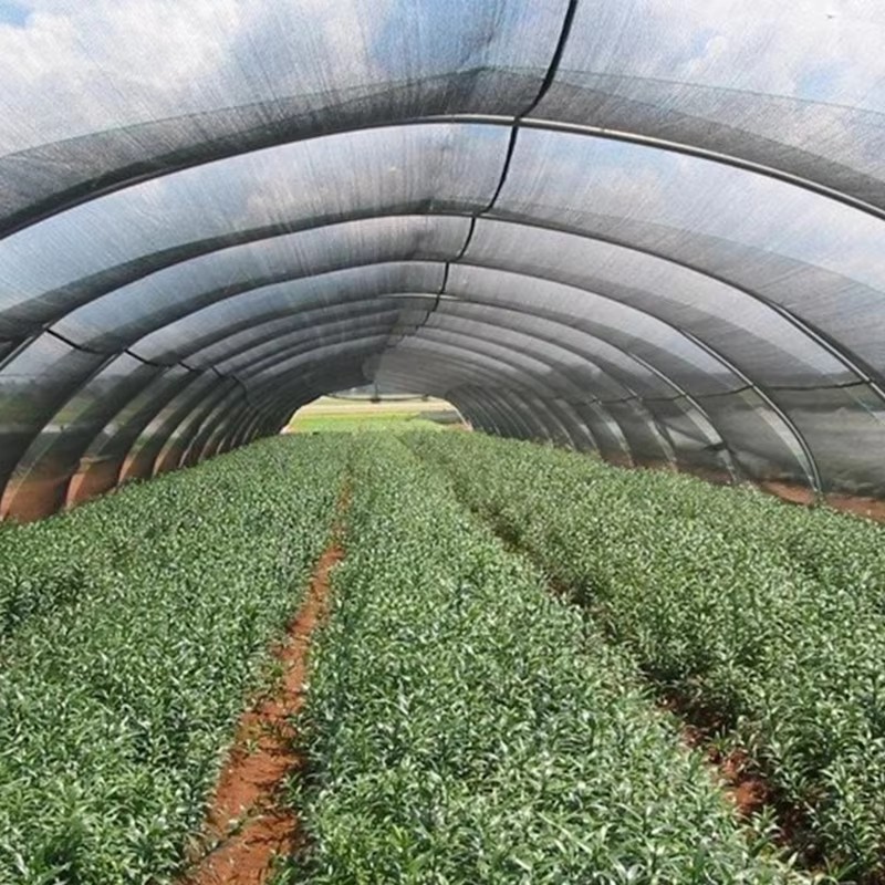 Itzal-oihalaren hozte-efektua ona al da?