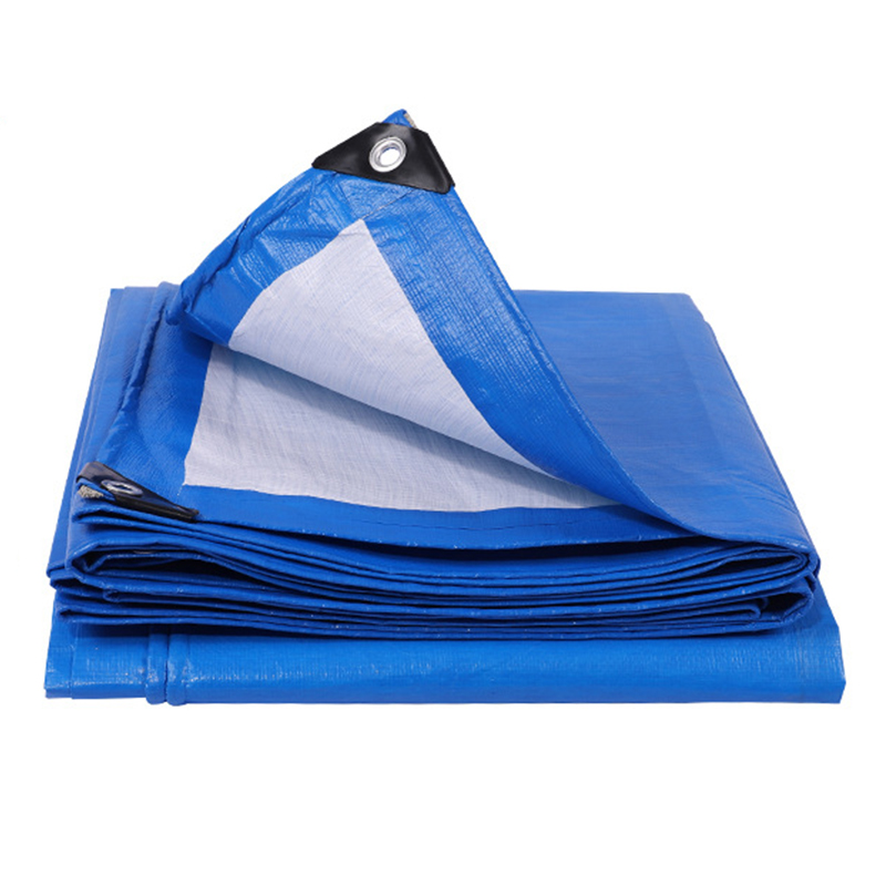 PE lona nahikoa sendoa al da?