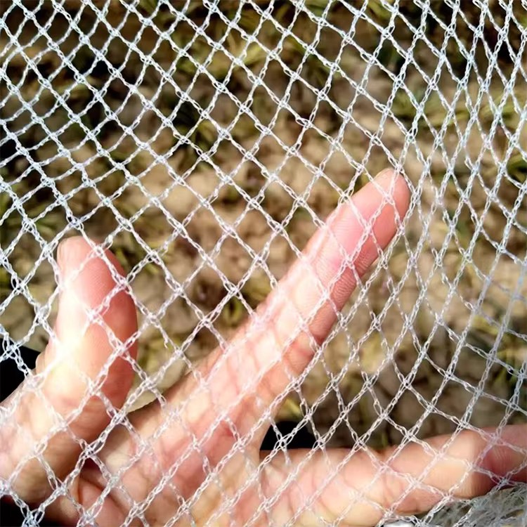 Txingorraren aurkako polietilenozko hegaztiak babesteko sare plastikozko sare pertsonalizatuarekin nekazaritzarako